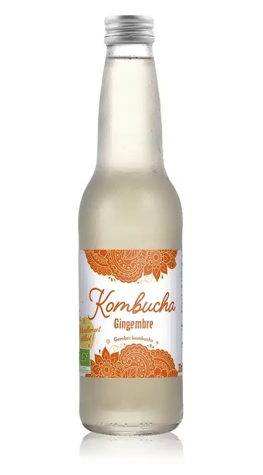 3D-Kombucha-Ginger-522x942