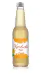 KOMBUCHA MANGUE